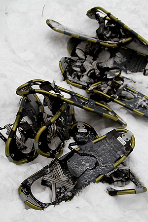 picture of snowshoes