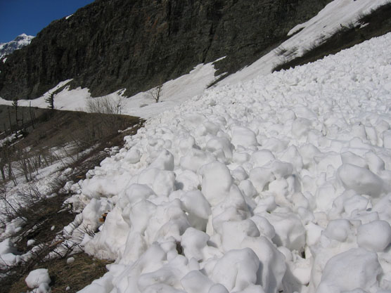 avalanche across the Going-to-the-Sun road on the east side