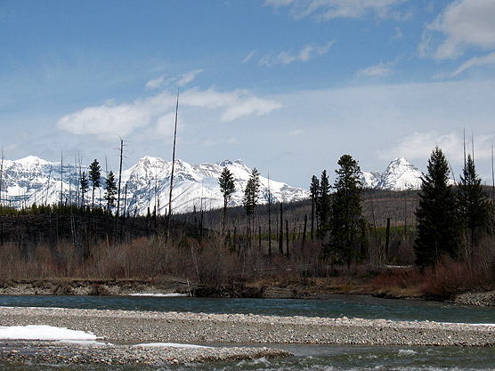 Picture of the North Fork of the Flathead River in the foreground and mountains in the background