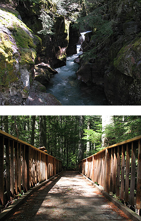 Picture of Avalanche Gorge and the Trail of the Cedars boardwalk