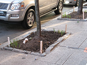 Picture of a small patch of dirt surrounded by sidewalks and street