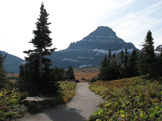 Picture of Reynolds Mtn at Logan Pass