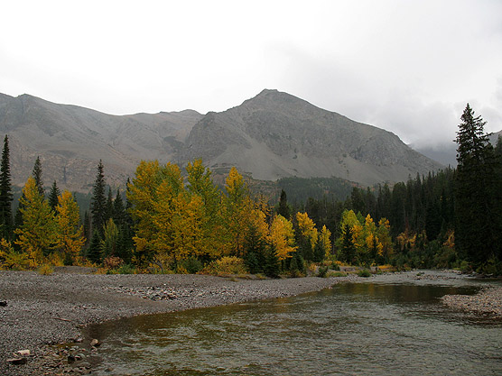 Picture of Two Medicine Creek