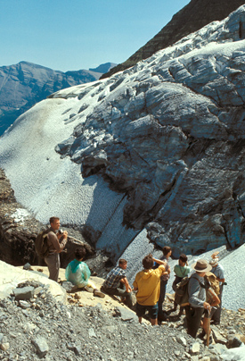 Ranger led group at Sexton Glacier.