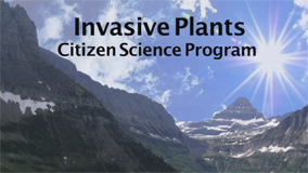 Invasive_Plant-Podcast