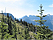 tiny image from the highline trail