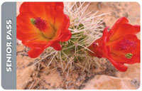 America the Beautiful - The National Parks and Federal Recreational Lands Pass Series - Senior Pass
