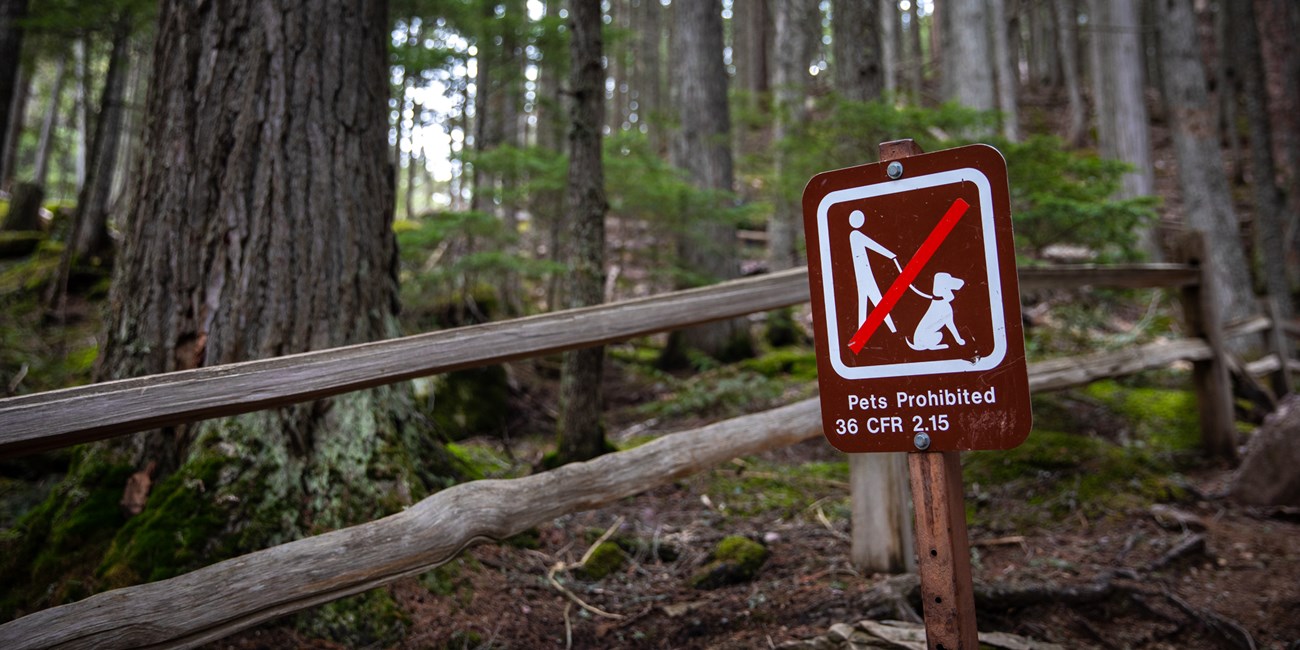 A picture of a sign in a forest that says pets prohibited.