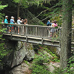 visitors at the Avalanche Gorge Bridge visitors at the Avalanche Gorge Bridge