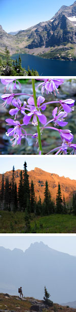 Four images of Glacier's backcountry