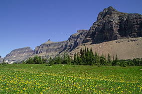 Picture of the Logan Pass area