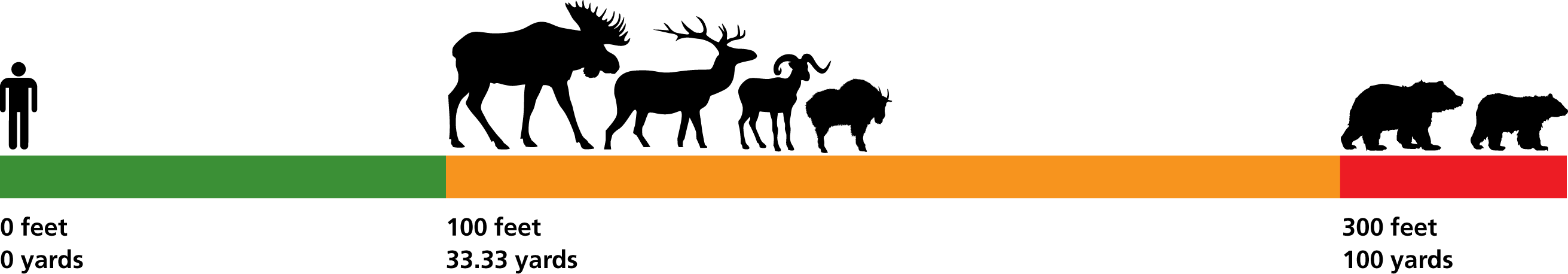 wildlife viewing distances