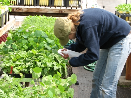 GNPA Nursery Volunteer