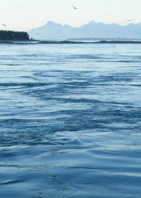 Tidal currents in Glacier Bay
