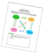 Student Worksheet: Interactions in the Oceans