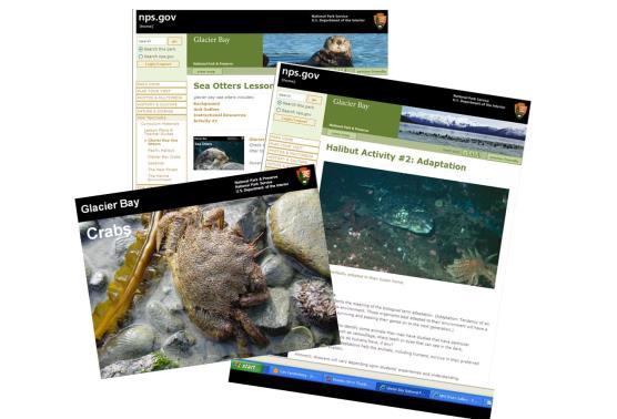 Glacier Bay Teacher Resources