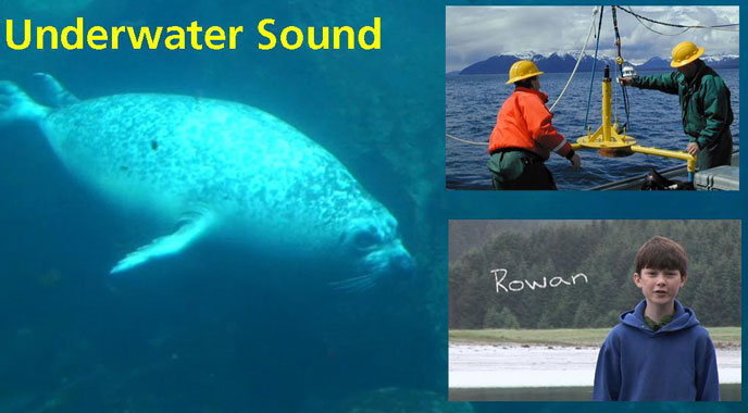 Studying underwater sound in Glacier Bay 