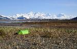 Tent in Glacier Bay