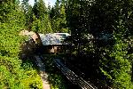 View of Lodge buildings