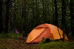 nice campsites
