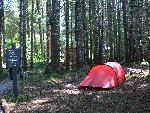 campsite view