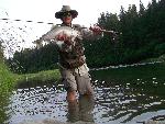 Pink Salmon on the Bartlett River