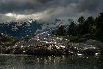 The Marble Islands