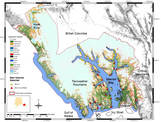 Bear distribution map for glacier bay