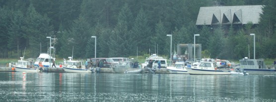 Boats cluster around the busy Bartlett Cove dock
