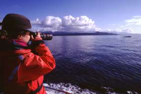 Whale researcher in Glacier Bay