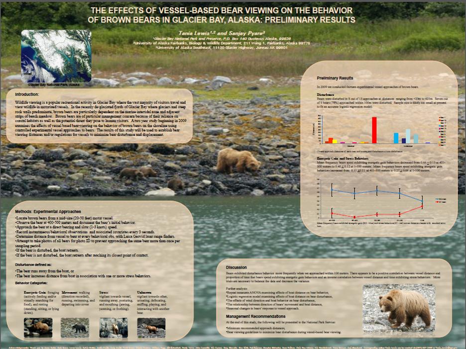 bear disturbance poster