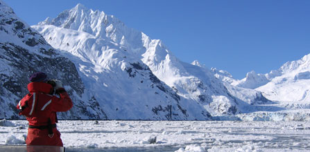 looking-for-seals
