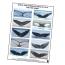 whale tail matching sheet