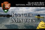 Glacier Bay Ranger Minutes