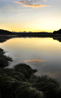 Evening light along the Bartlett River photo by T. Rains
