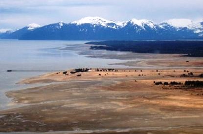 Shores of Gustavus, Alaska