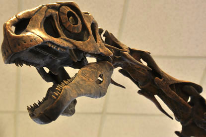 CHVC_therizinosaur2_032011_web