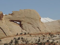 Peek a Boo Arch