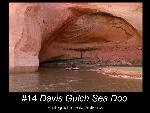Davis Gulch