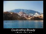 Constrasting Beauty