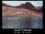 Quiet Solitude