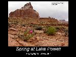 Spring at Lake Powell