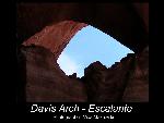 Davis Arch