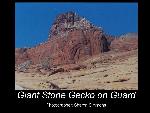 Giant Stone Gecko on Guard