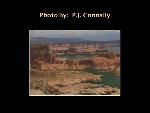 P.J. Connally Photo