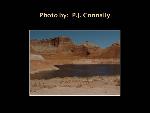 P.J. Connally Photo 4