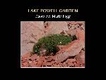 Lake Powell Garden