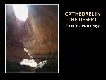 Cathedrel in the Desert