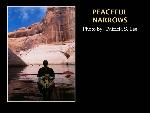 Peaceful Narrows