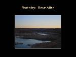 Dave Allen Photo 4